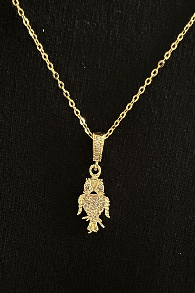 Baykuş Detaylı Taşlı Çelik Kolye